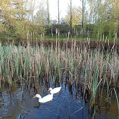 Dans Longere Апартаменты