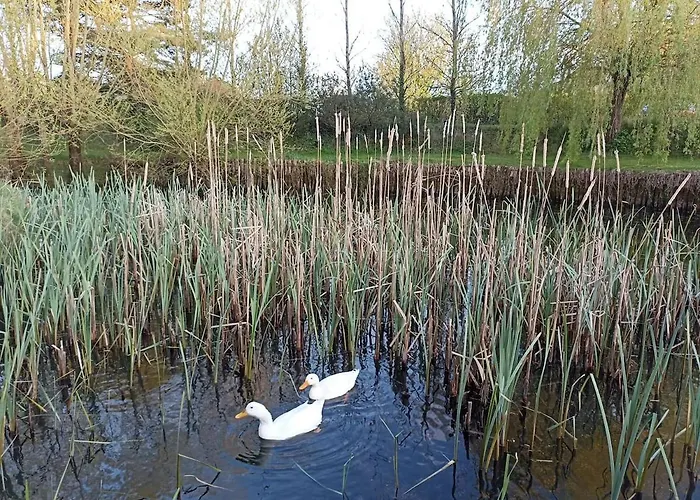 Dans Longere Apartman